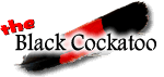 Black Cockatoo Nannup